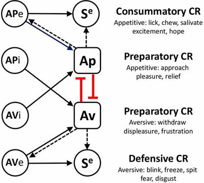 Affective Valence Regulates Associative Competition in Pavlovian Conditioning